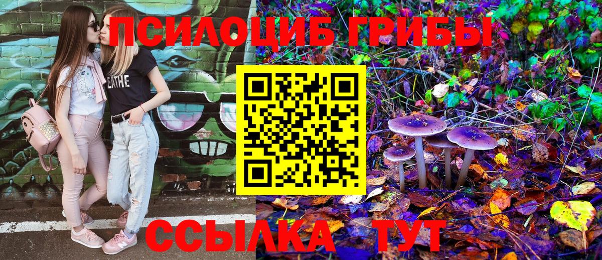 Псилоцибиновые грибы Magic Shrooms  Вход с VPN  Биробиджан 